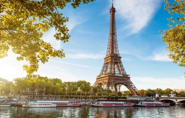 Картинка вода, солнце, свет, деревья, мост, река, Франция, Париж