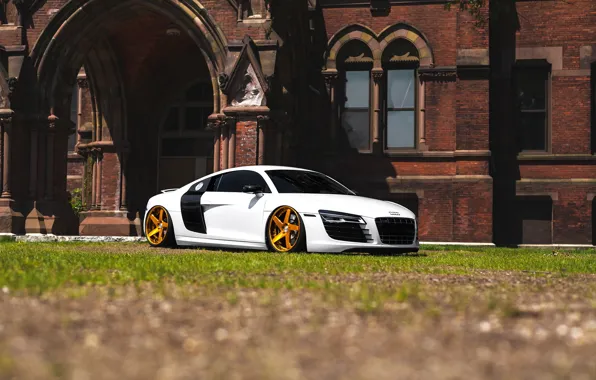 Картинка audi, White, Gold, Wheels, Avant, Garde, R8