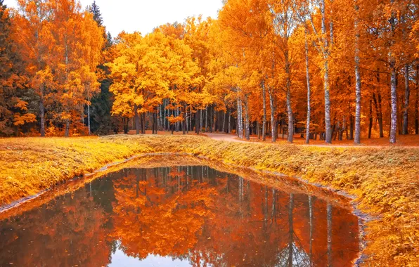 Картинка осень, листья, деревья, парк, colorful, park, autumn, leaves