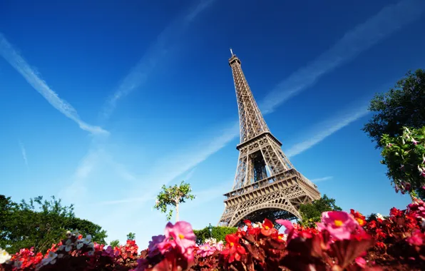 Небо, деревья, цветы, Франция, Париж, Эйфелева башня, Paris, France