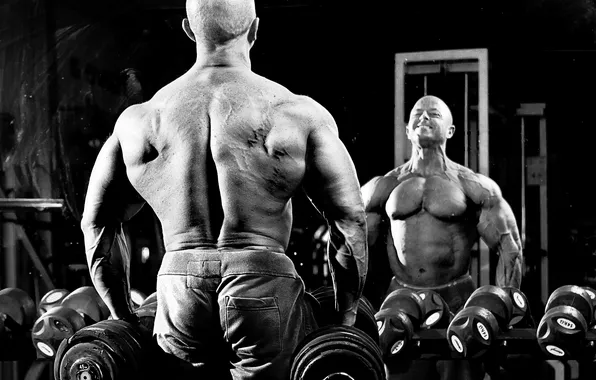 Картинка power, men, back, bodybuilder, jerry Koolhoven