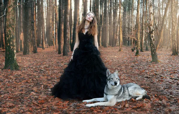 Картинка лес, девушка, волк, Dance with the wolves