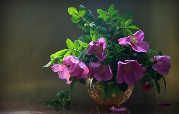 Картинка ваза, цветки, Наталья Кудрявцева, листья, шиповник, лепестки, ветки