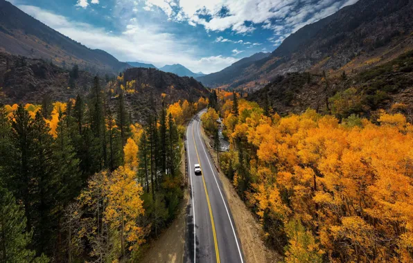 Panorama, Fall Colors, South Lake