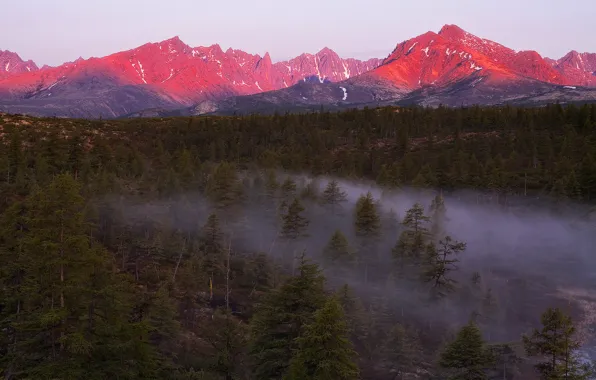 Картинка лес, свет, закат, горы, туман, вечер, дымка, Магаданская область