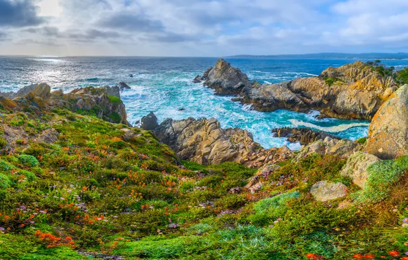 Картинка природа, Скала, Калифорния, США, Побережье, Trail Point Lobos