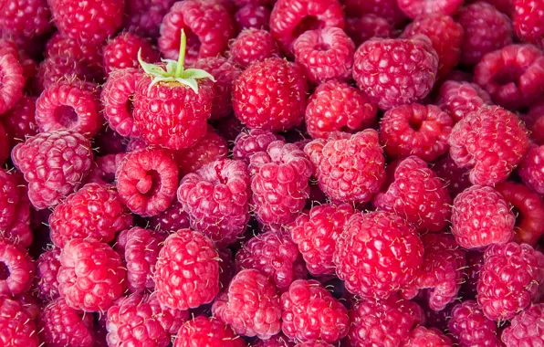 Картинка малина, фон, ягода, background, berries, raspberry