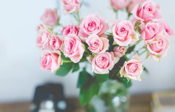 Розы, букет, нежные, розовые