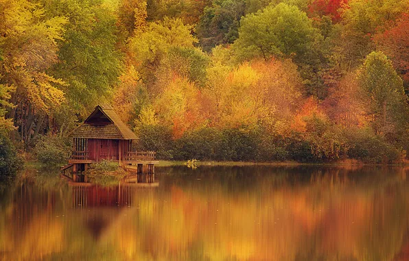 Осень, деревья, озеро