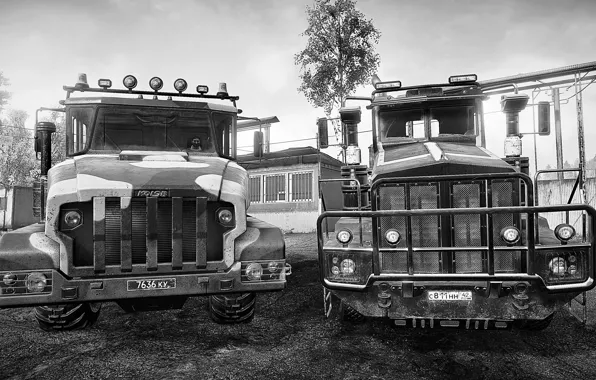 HDR, Game, Trucks, Trees, Buildings, UHD, Xbox One X, Black&White