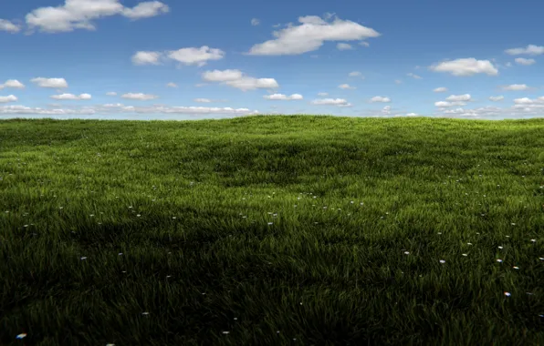 Картинка зелень, поле, лето, небо, трава, солнце, облака, рендеринг