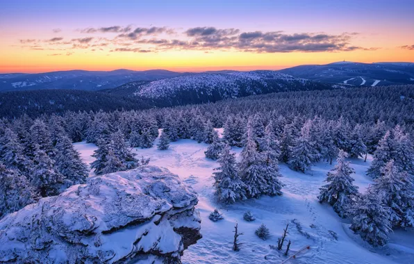 Картинка зима, лес, снег, закат, горы, ели, Чехия, Czech Republic