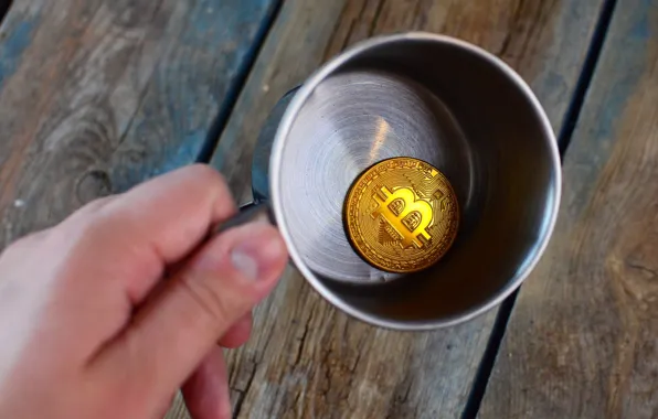 Metal, cup, coin, bitcoin