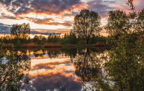 Деревья, пейзаж, закат, природа, пруд, отражение, Владимир Васильев