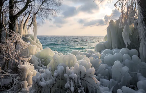 Иней, море, солнце, облака, ветки, природа, берег, лёд