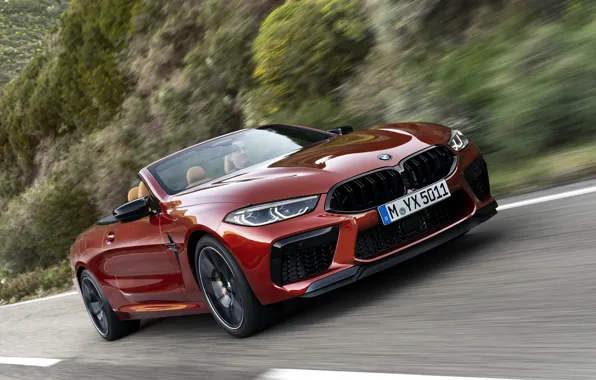 Картинка дорога, растительность, BMW, склон, кабриолет, 2019, BMW M8, M8