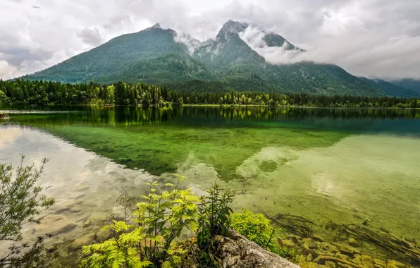 Картинка лес, облака, деревья, горы, озеро