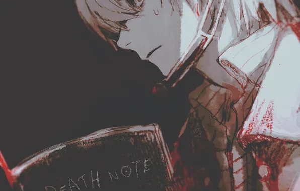Парень, тетрадь, Death Note, Light Yagami