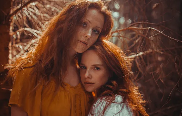 Ветки, девушки, веснушки, сёстры, боке, sisterhood