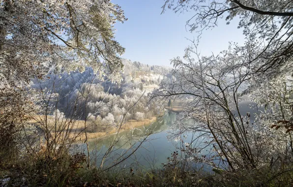 Зима, лес, снег, водоем