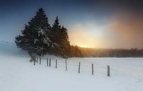 Картинка зима, небо, снег, деревья, закат, забор
