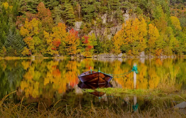 Картинка осень, лес, трава, пейзаж, природа, озеро, отражение, лодка