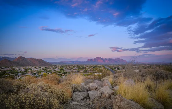 Горы, природа, пустыня, Arizona, Mesa