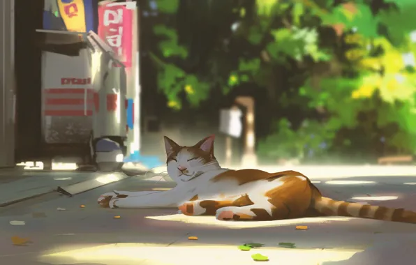 Картинка отдых, дремлет, пятнистая кошка, на дороге, в тени, летний день, by Snatti