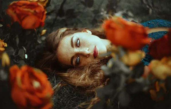 Взгляд, девушка, цветы, Valentina Caballero
