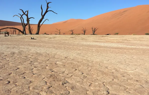 Песок, пустыня, Африка, Намибия