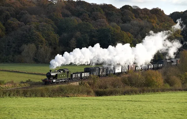 Картинка природа, дым, поезд, паровоз, вагоны