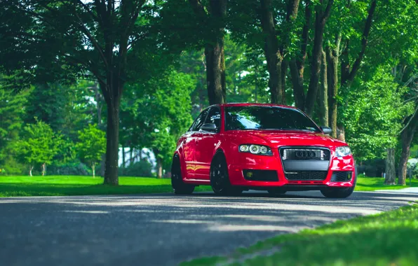 Audi, ауди, red, front, stance, RS4