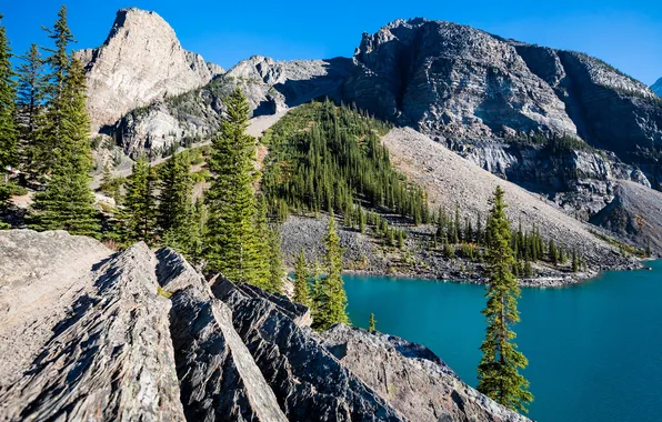 Картинка небо, деревья, горы, озеро, Канада, Альберта, Moraine Lake, долина десяти пиков