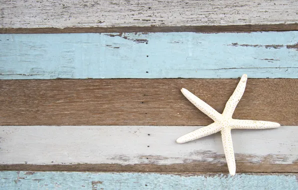 Фон, дерево, доски, морская звезда, vintage, texture, background, marine
