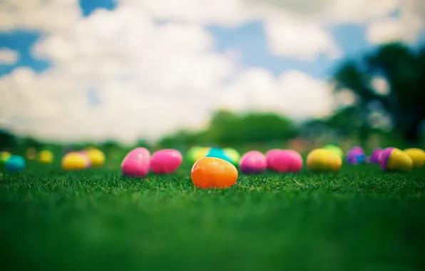 Трава, яйца, Пасха, разноцветные, Easter, Kinder Surprise, Киндер Сюрприз