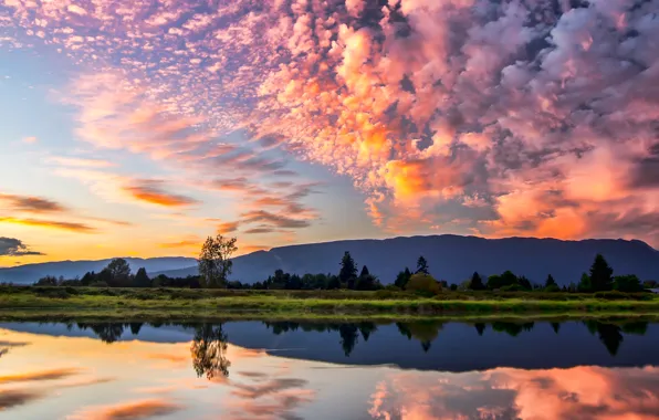 Небо, облака, деревья, река, Canada, British Columbia, канада