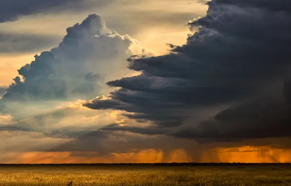 Поле, облака, дождь, красота, горизонт, простор, живописный пейзаж, Etosha sky