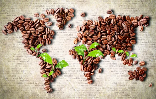 Картинка листья, кофе, карта, зерна, континенты