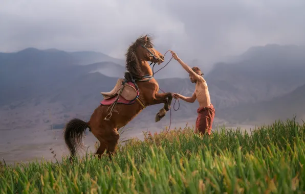 Картинка grass, mountains, fog, man, hill, slope, horse, training