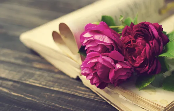 Vintage, wood, flowers, beautiful, пионы, purple, book, peony