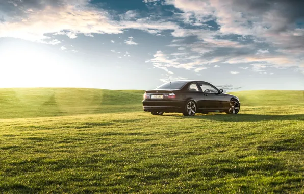 Картинка трава, BMW, black, зелёная, rear, E46, green grass, 3 Series
