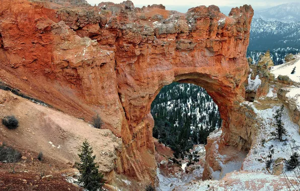 Картинка снег, деревья, пейзаж, горы, скалы, арка, Юта, США