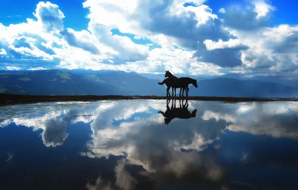 Картинка небо, вода, кони