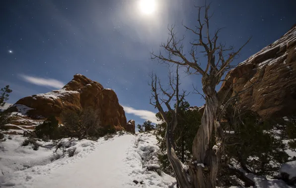 Снег, деревья, горы, ночь, луна, moon, trees, night