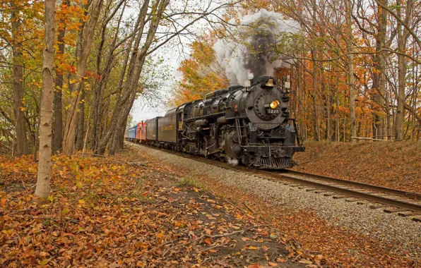 Картинка осень, лес, поезд