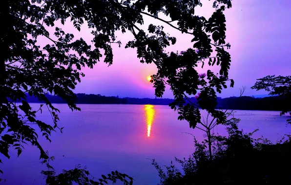 Sun, Water, Sunrise, Dawn, Morning, Lake, Trees, Reflection