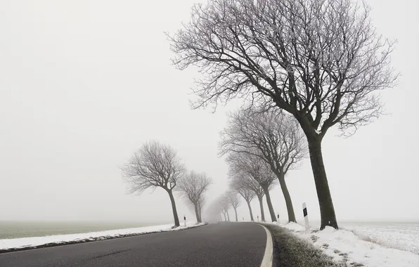 Зима, дорога, деревья, туман