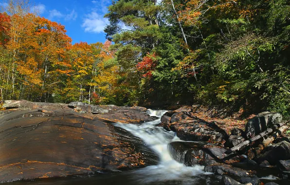 Картинка осень, лес, деревья, река, скалы, поток, Канада, Онтарио