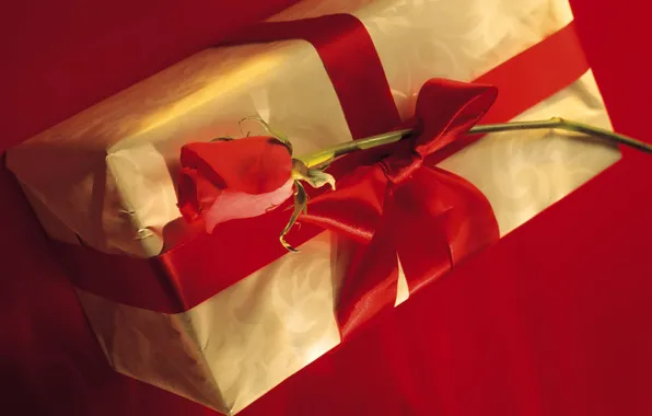 Цветок, красный, настроение, праздник, коробка, подарок, роза, цвет