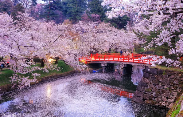 Картинка деревья, мост, природа, огни, отражение, река, вечер, Япония